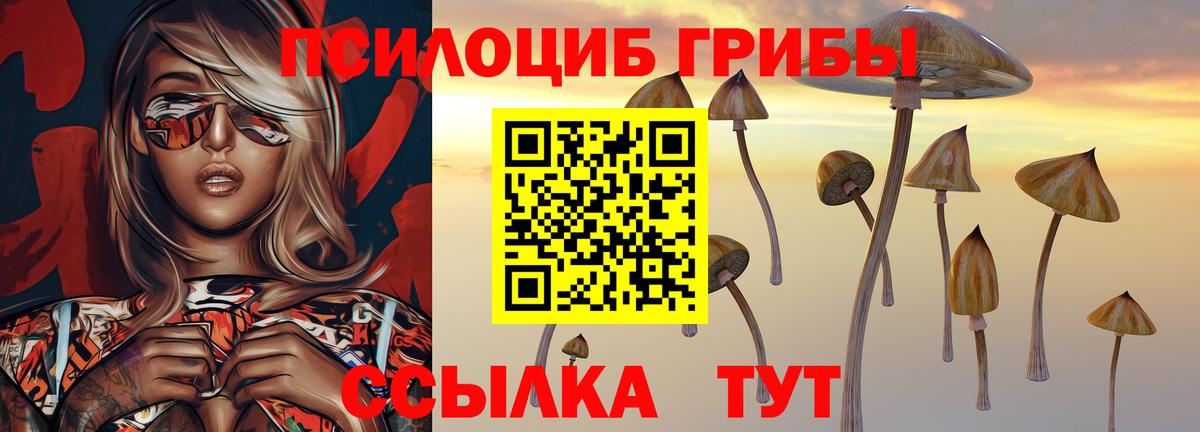 Псилоцибиновые грибы мицелий Михайловск